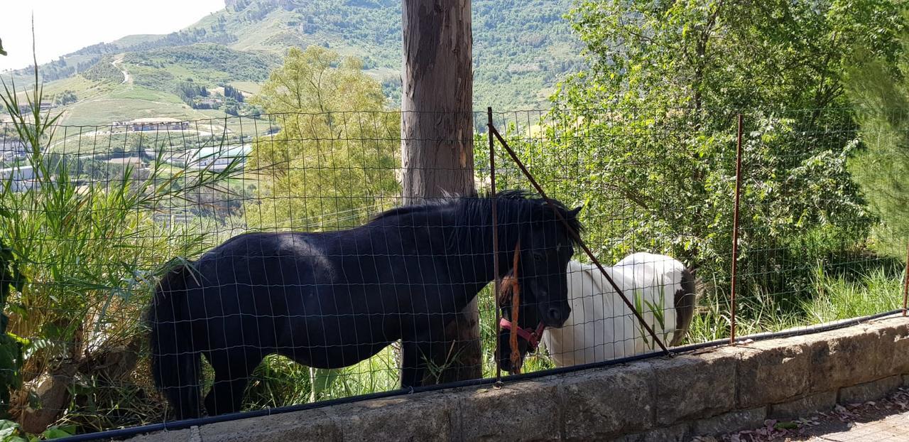 B&B - Affittacamere Da Pietro - Enna Dış mekan fotoğraf